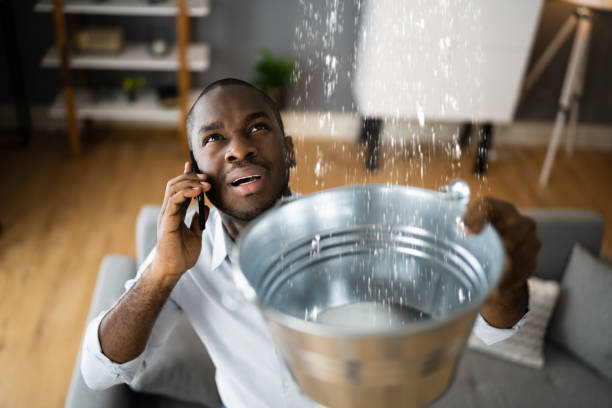 Best Ceiling water damage repair  in Azusa, CA