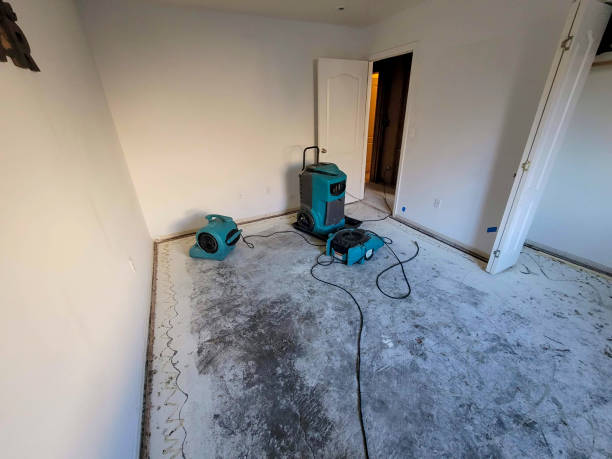 Best Water damage restoration near me  in Azusa, CA