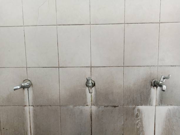 Best Water damage cleanup near me  in Azusa, CA